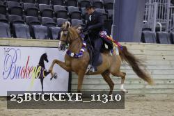 25BUCKEYE_11310 thumbnail