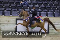 25BUCKEYE_11311 thumbnail