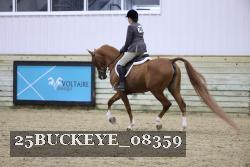 25BUCKEYE_08359 thumbnail