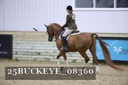 25BUCKEYE_08360 thumbnail
