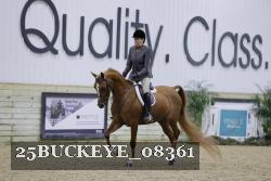 25BUCKEYE_08361 thumbnail