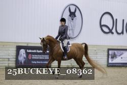 25BUCKEYE_08362 thumbnail