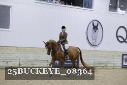 25BUCKEYE_08364 thumbnail
