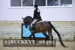 25BUCKEYE_08365 thumbnail