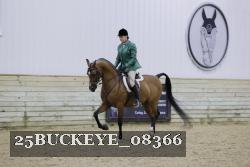 25BUCKEYE_08366 thumbnail