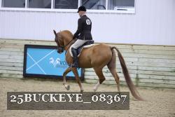25BUCKEYE_08367 thumbnail