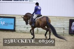 25BUCKEYE_08369 thumbnail