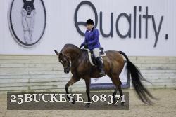 25BUCKEYE_08371 thumbnail