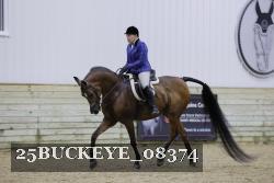 25BUCKEYE_08374 thumbnail