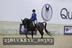 25BUCKEYE_08383 thumbnail