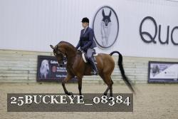 25BUCKEYE_08384 thumbnail