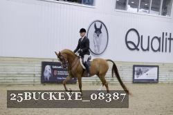 25BUCKEYE_08387 thumbnail