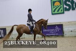 25BUCKEYE_08400 thumbnail
