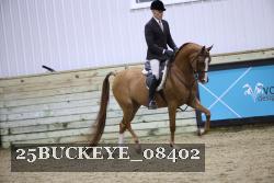 25BUCKEYE_08402 thumbnail