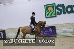 25BUCKEYE_08403 thumbnail
