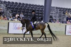 25BUCKEYE_08421 thumbnail