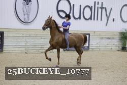 25BUCKEYE_10777 thumbnail