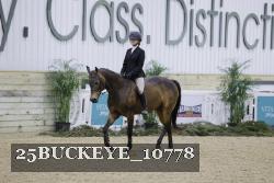 25BUCKEYE_10778 thumbnail