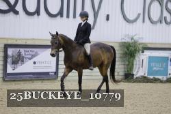 25BUCKEYE_10779 thumbnail