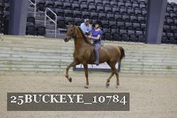 25BUCKEYE_10784 thumbnail