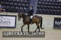 25BUCKEYE_10788 thumbnail