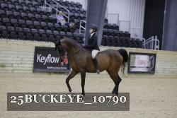 25BUCKEYE_10790 thumbnail