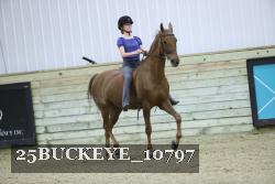 25BUCKEYE_10797 thumbnail
