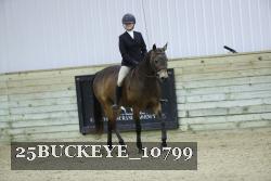 25BUCKEYE_10799 thumbnail