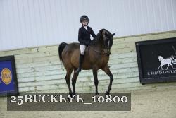 25BUCKEYE_10800 thumbnail