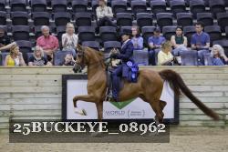 25BUCKEYE_08962 thumbnail
