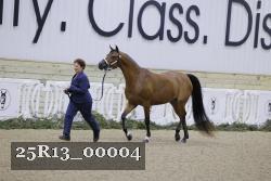 25R13_00004 thumbnail