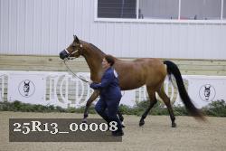 25R13_00008 thumbnail