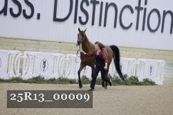 25R13_00009 thumbnail
