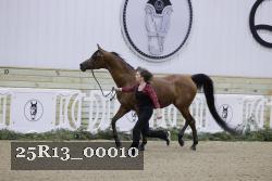 25R13_00010 thumbnail