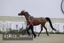 25R13_00011 thumbnail