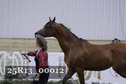 25R13_00012 thumbnail