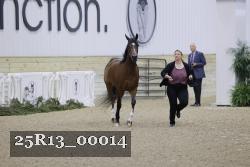 25R13_00014 thumbnail