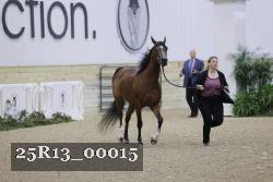 25R13_00015 thumbnail