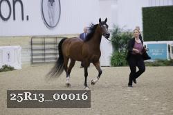 25R13_00016 thumbnail