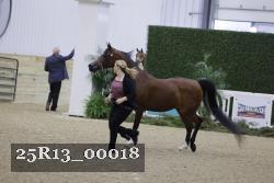 25R13_00018 thumbnail