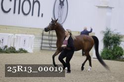 25R13_00019 thumbnail
