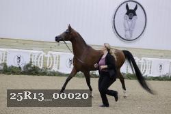 25R13_00020 thumbnail