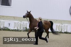 25R13_00021 thumbnail