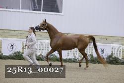 25R13_00027 thumbnail