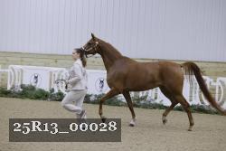 25R13_00028 thumbnail