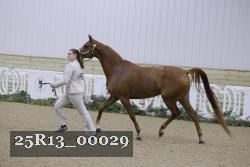 25R13_00029 thumbnail