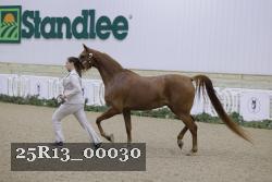 25R13_00030 thumbnail