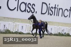 25R13_00032 thumbnail