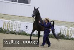 25R13_00037 thumbnail