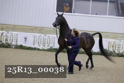 25R13_00038 thumbnail